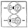 FIGURE 36. <i>Lunar and Solar Eclipses</i>.<br> (From <i>Sph&aelig;ra Mundi</i>; Joannes Sacro Bosco, Venice, 1482.)