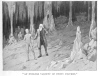 AN ENDLESS VARIETY OF STONY FIGURES.