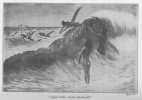 THEN THEY WENT SEAWARD.