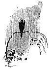 RAIN FALLS ON P&Eacute;E-K'HOO.