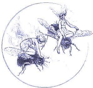 Fairies: Public domain image
