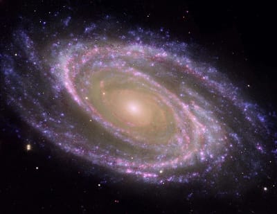 M81, Hubble Image (Public Domain Image)